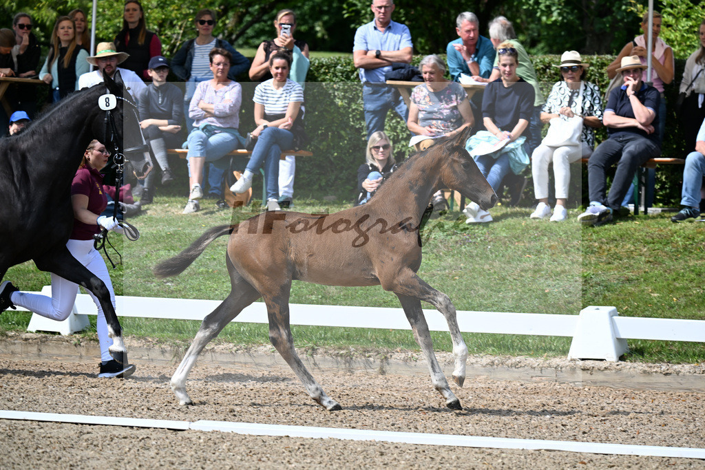 Kat-Nr. 8 Va Bene x Jameson RS2_HF_Friedel_29250321 | hf-fotografie - Realizzato con Pictrs.com