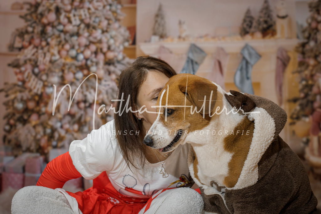 Weihnachts Minis  | Emotionale Mensch und Tier Fotografin. Aus Gösing am Wagram, zwischen Tulln und Krems an der Donau. 