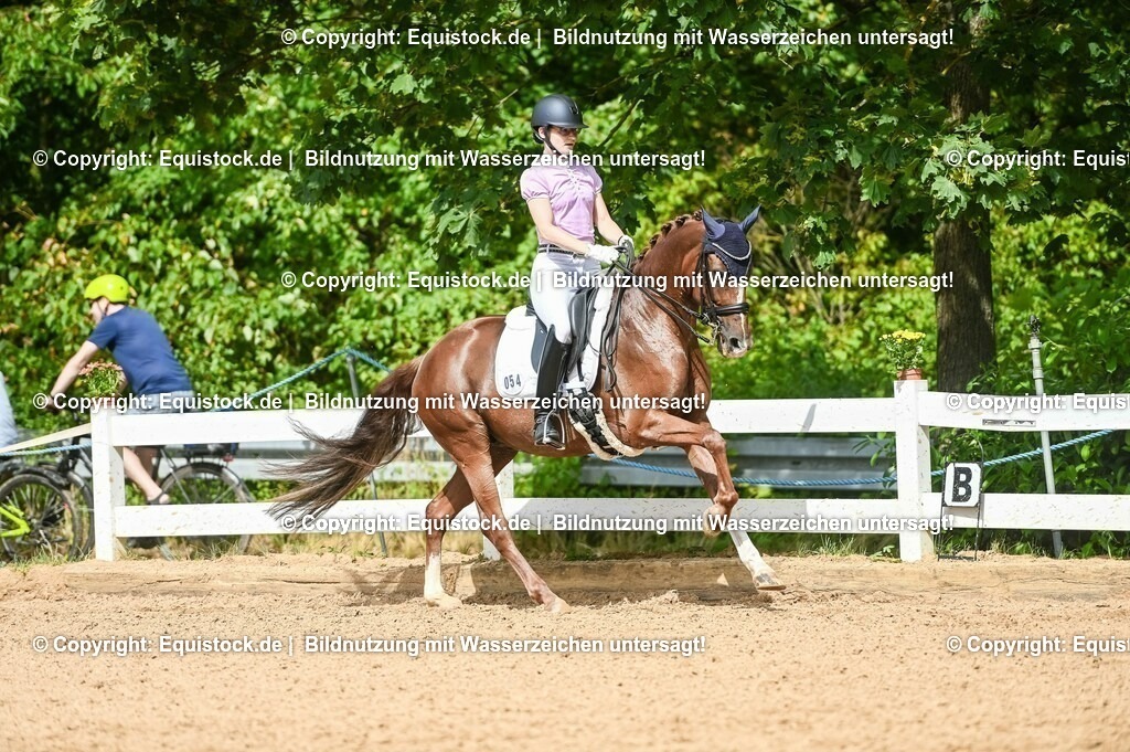 20230716_01_Dressurprüfung Kl.M_0395 | equistock