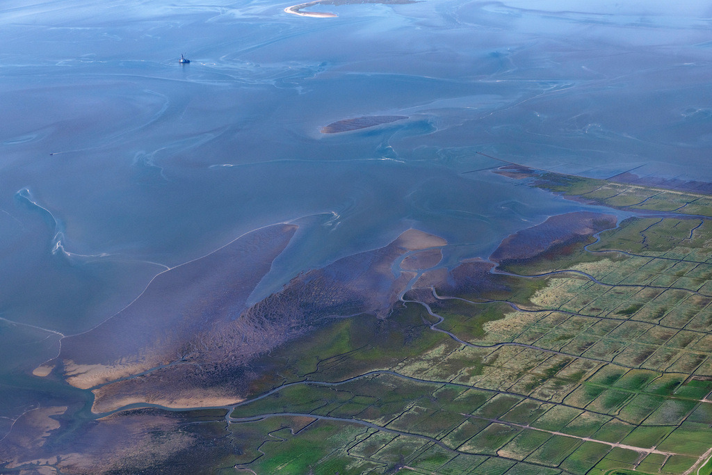 dr__0202364.jpg | FRIEDRICHSKOOG 06.09.2023 Salzwiesen mit brauner Vegetation im Nationalpark Wattenmeer der Nordsee in Friedrichskoog im Bundesland Schleswig-Holstein. Priele durchziehen das Deichvorland südwestlich der Ortschaft Friedrichskoog. 