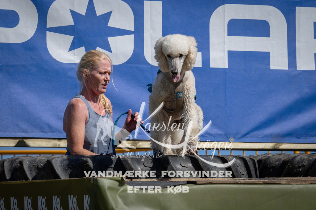 1145_ZZ92267 | kk-dogfotos