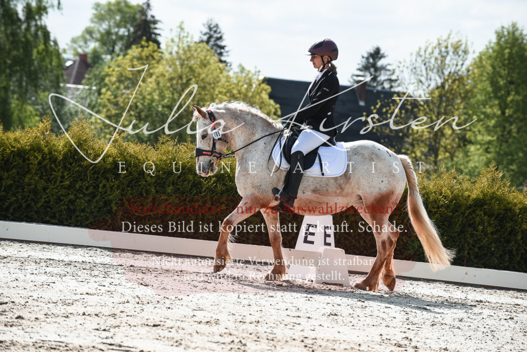 20230518_JK-Röhrsdorf-09-1565 | Pferde- und Turnierfotografie in Westsachsen. Pferdeportraits, Auftragszeichnungen und intuitive Kunst.
