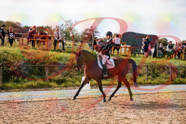 2026_10_03_Siefer-Hof_131003_Z63_72179473 | Professionelle Reitsport-, Turnier- und Eventfotografie von Robert Broda. Galerien mit ausgewählten und bearbeiteten Bildern direkt online ansehen und bestellen.