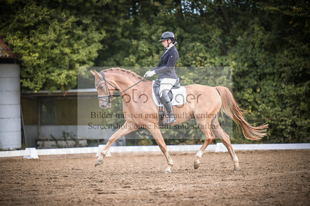 DOS_0478 | Entdecke hochwertige Reitturnierfotos von Foto Oger. Professionell, emotional und authentisch – jetzt Lieblingsmomente im Shop bestellen.Deutschlandweite Turnierfotografie. - Realisiert mit Pictrs.com