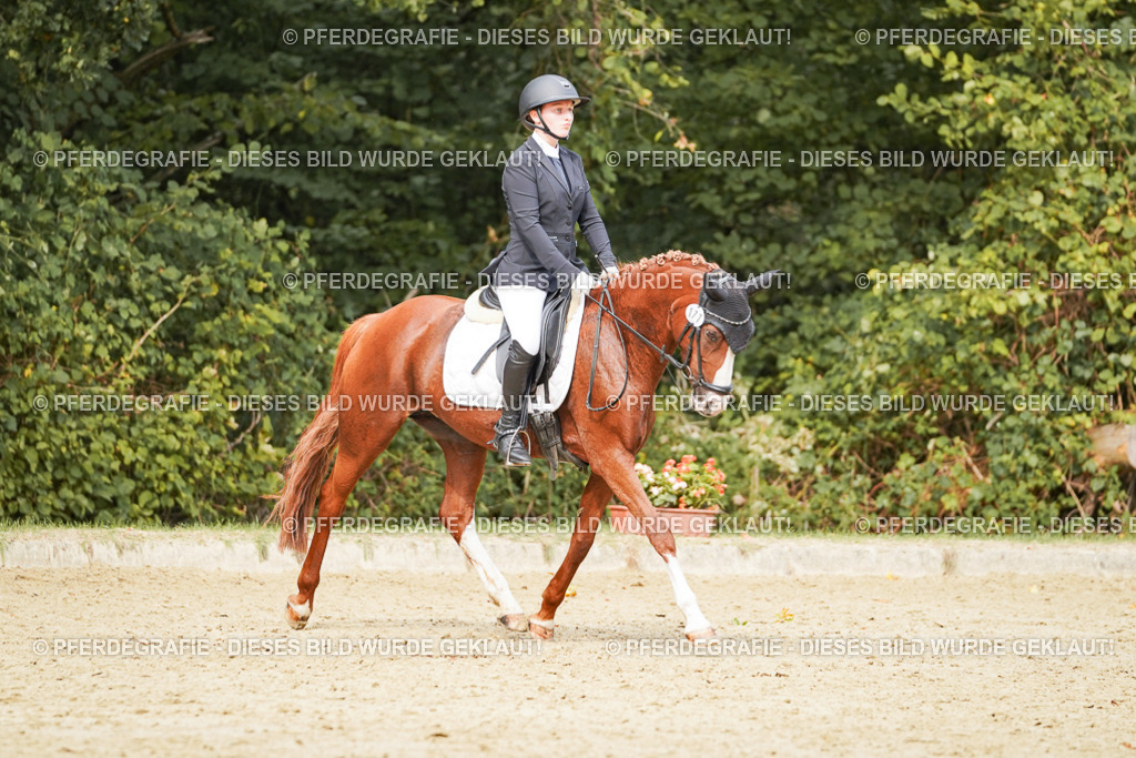 DSC03704 | Pferdegrafie