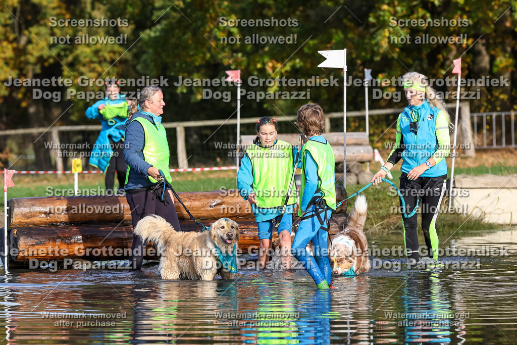 Dog Paparazzi - Strongdog 10-25-8469 | Dog Paparazzi Jeanette Grottendiek Fotografie & Videografie - Realisiert mit Pictrs.com