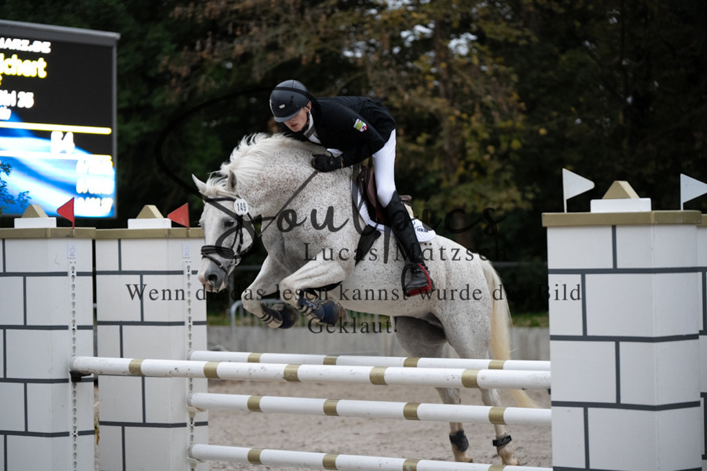 A7V08872 | Pferdefotograf