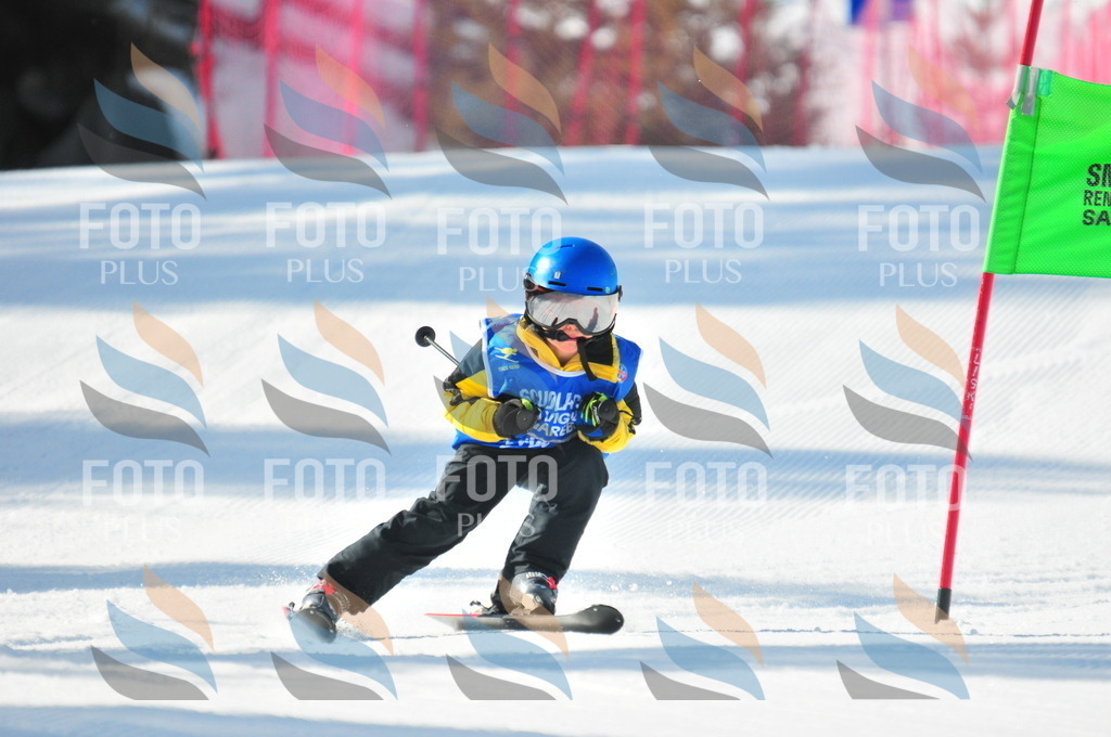 B9033 | holidayphoto