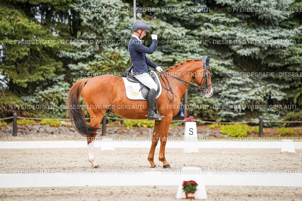 DSC07011 | Pferdegrafie