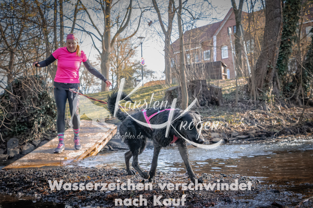 0834_ZZ92163 | kk-dogfotos