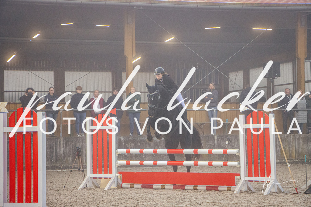 IMG_2506 | Erleben Sie dynamische Sport- und emotionale Tierfotografie in Süddeutschland mit Fotos von Paula. Spezialisiert auf Pferde- und Hundefotografie sowie Sportevents. Kontaktieren Sie mich für einzigartige und ausdrucksstarke Bilder Ihrer besonderen Momente. - Realisiert mit Pictrs.com