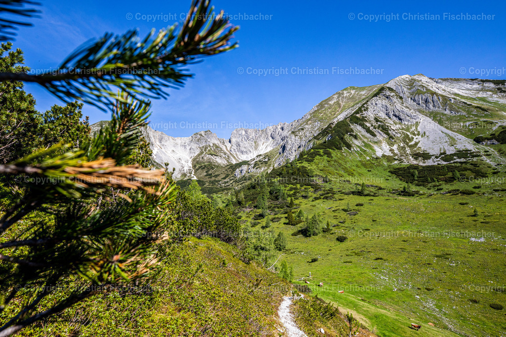 Fotos_Copyright_Chri_Fischbacher_Druck-392 | Bildershop Chri Fischbacher - Realisiert mit Pictrs.com