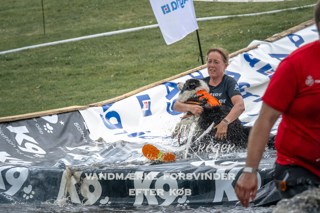 1516_ZZ94093 | kk-dogfotos
