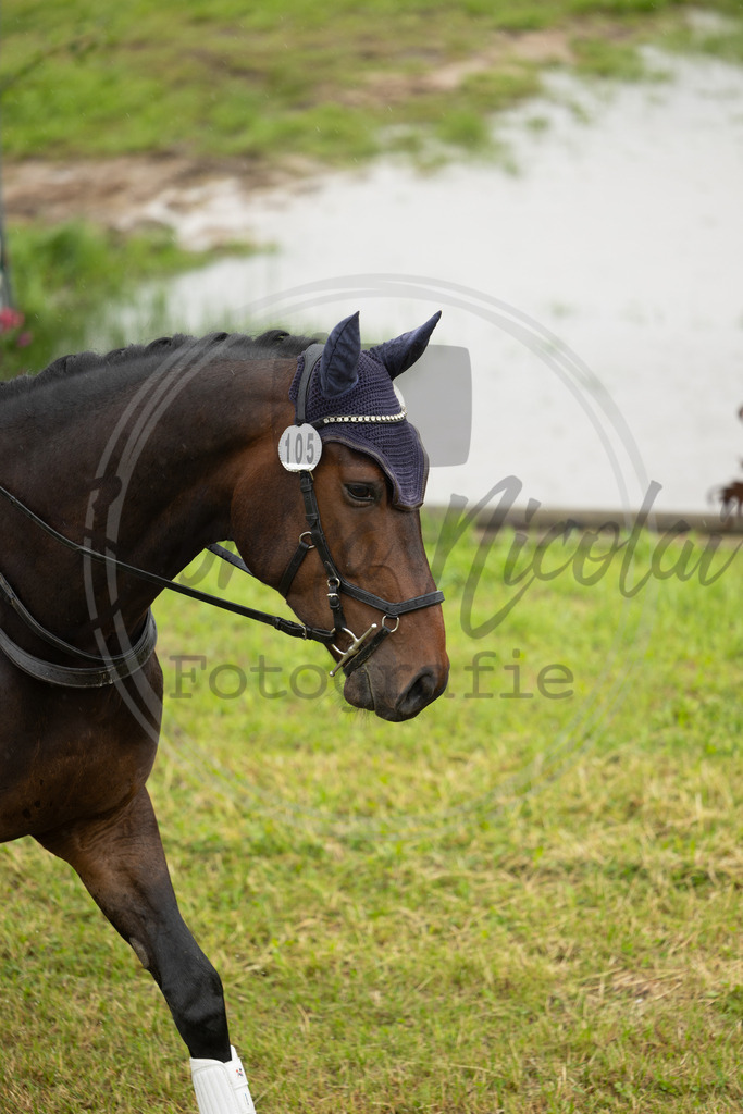 994A1746 | sabrinanicolaifotografie - Realisiert mit Pictrs.com