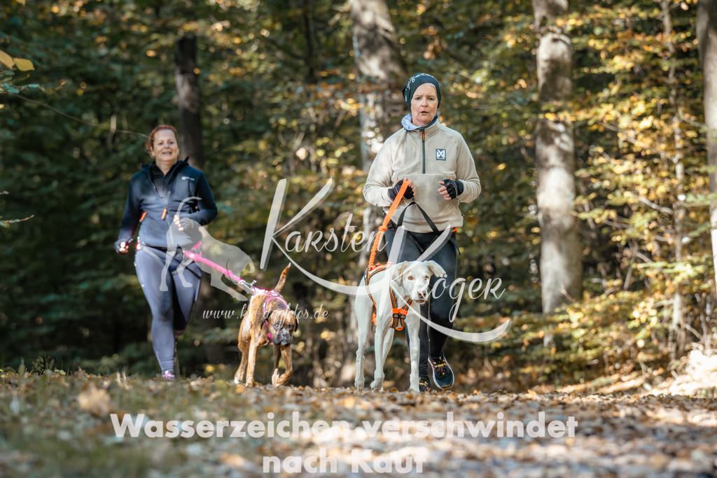 1212_ZZ94490 | kk-dogfotos