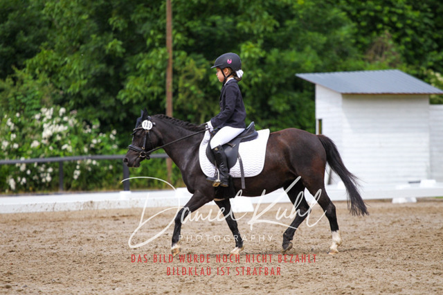 DKP47509 | Turnierfotos kaufen im Webshop von Daniel Kuhl Photography – entdecke professionelle Reitsportfotos aus Turnieren & Events. Hochwertige Turnierbilder online bestellen & sichern. Jetzt Fotos von Reitsportturnieren kaufen!