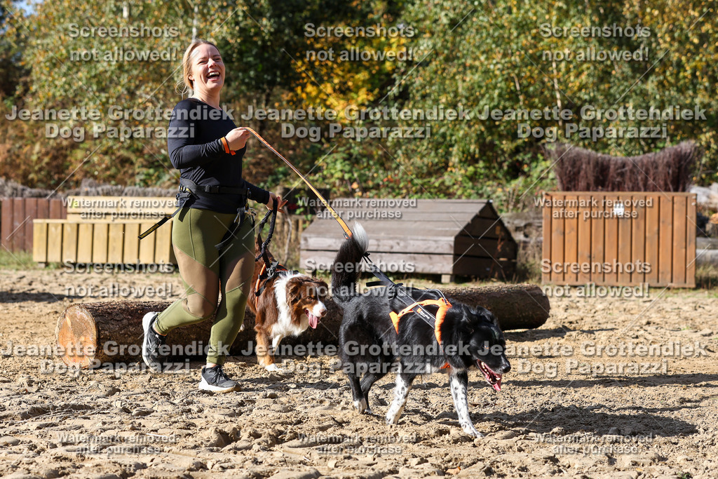 Dog Paparazzi - Strongdog 10-25-4889 | Dog Paparazzi Jeanette Grottendiek Fotografie & Videografie - Realisiert mit Pictrs.com