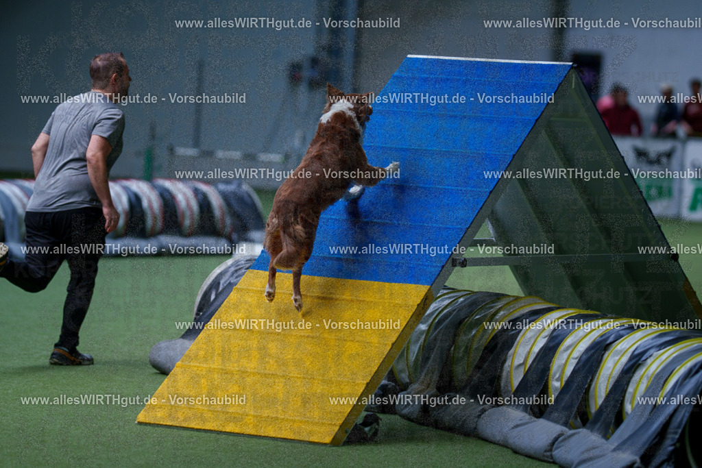 @allesWIRTHgut_Tierfotografie - www.allesWIRTHgut.de - 2604251227-7R501773 | Professionelle Tierfotografie in Mönchengladbach von Daniel Wirth (allesWIRTHgut). Liebevolle & natürliche Bilder von Hunden & Katzen für unvergessliche Erinnerungen.