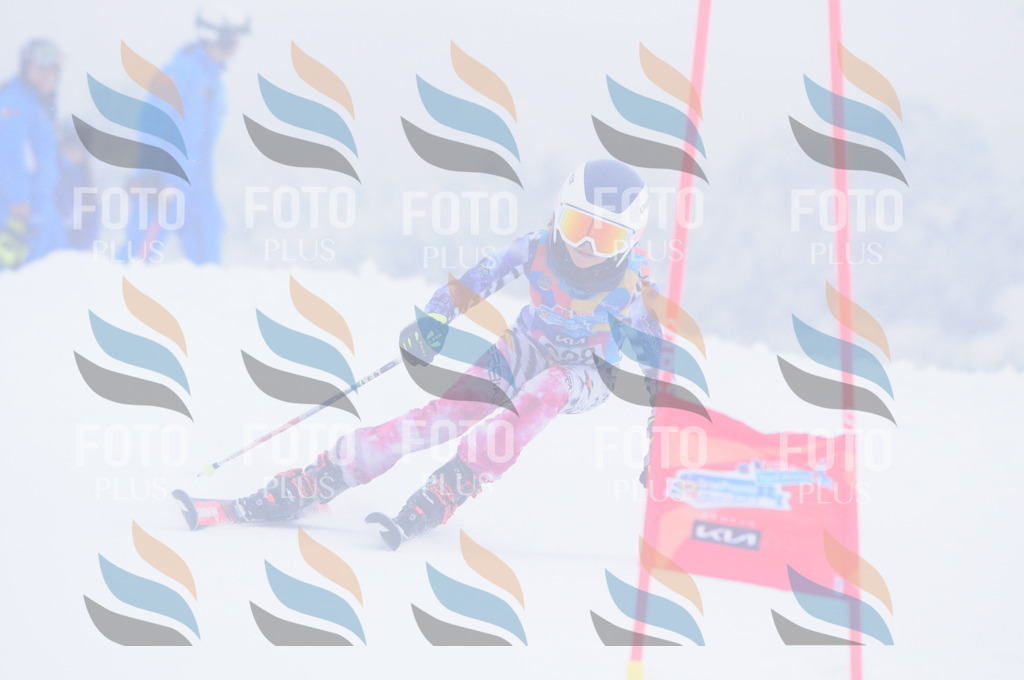 C3503 | holidayphoto