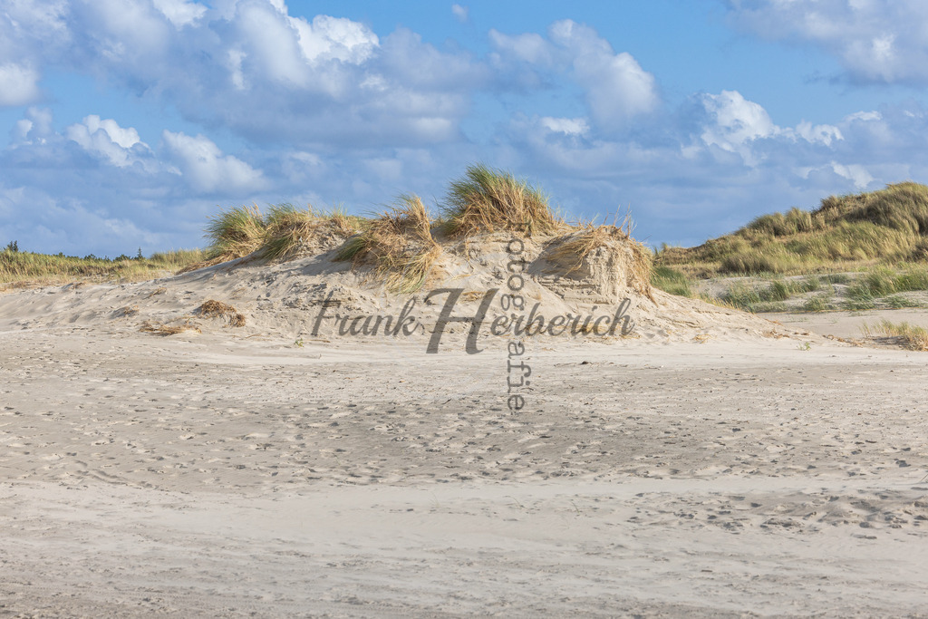 St. Peter Ording | Frank Herberich Fotografie, Frank Herberich, Fotografie, Hochzeit, Portrait, St. Peter Ording, Ording, Westerhever, Nordsee, Frank Fotografie, Hardheim,  Odenwald,Walldürn, Band,Eventfotografie - Realisiert mit Pictrs.com