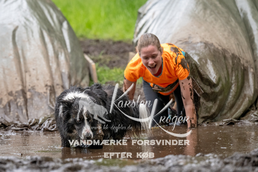 1546_ZZ90259-Bearbeitet | kk-dogfotos