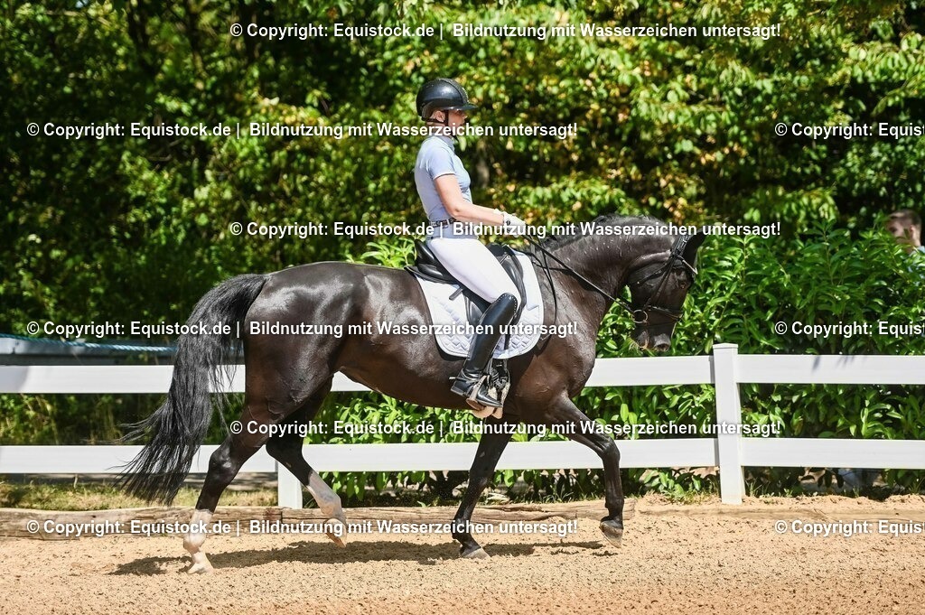 20230715_02_Dressurreiterprüfung Kl.L_0038 | equistock