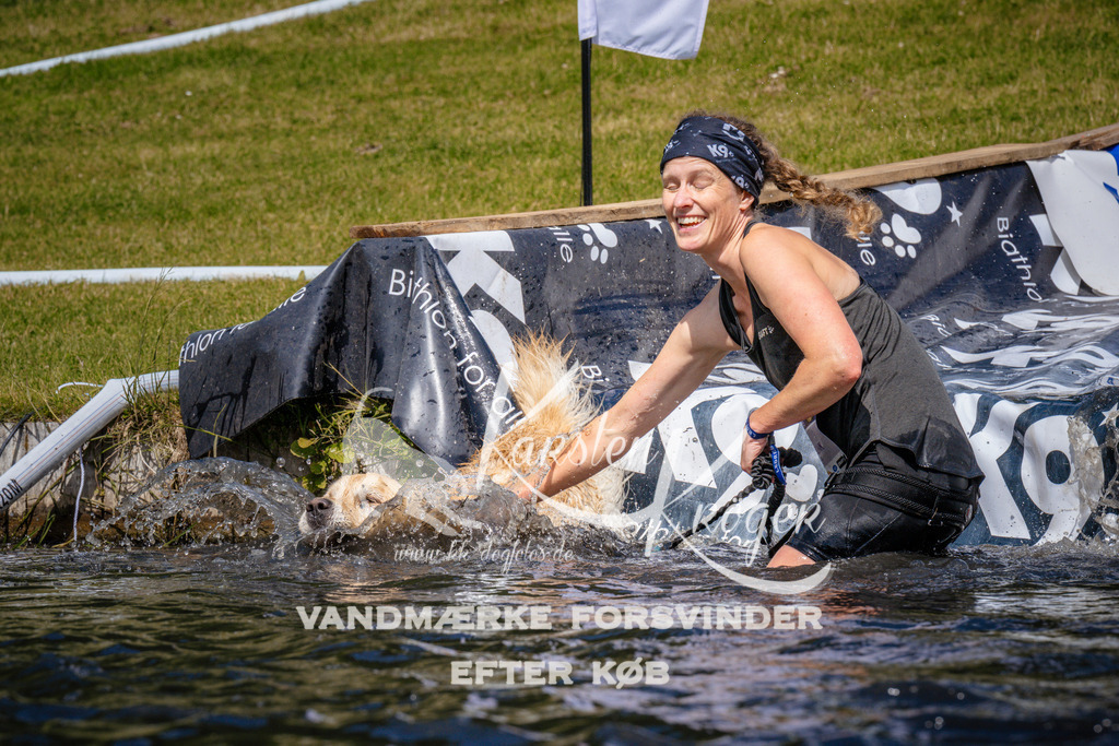 _ZZ951491006 | kk-dogfotos