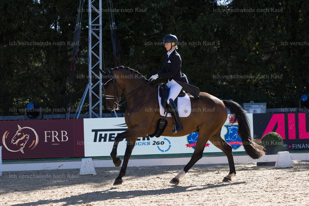 FHC2026_P07_150_17305 | working equitationturnier fotograf videograf stoibphotography marixx film working equitation deutschland reitsport turnierfotografie eventfotografie equestrian events