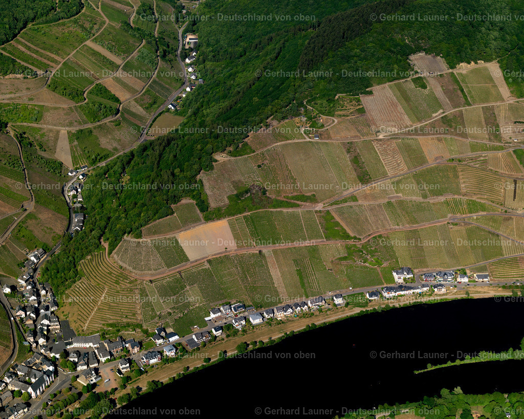 Merl_ Zell_ Mosel-3114394 | Merl, Zell, Mosel