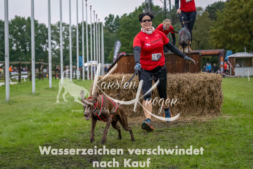 1210--4 | kk-dogfotos