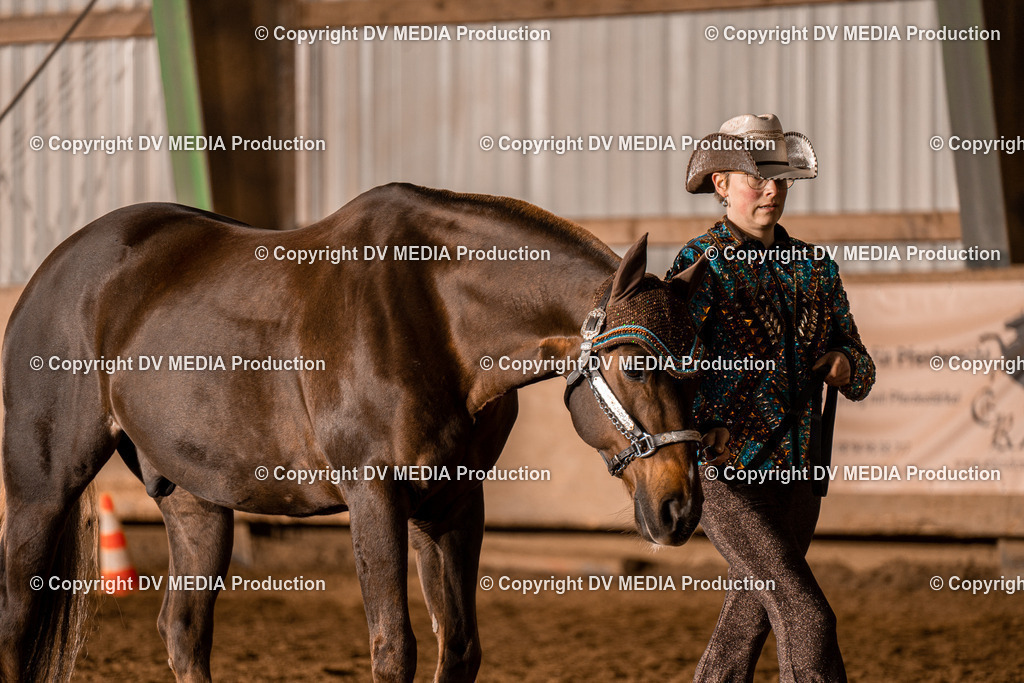 BAL01304 | dv-media-shop - Realisiert mit Pictrs.com