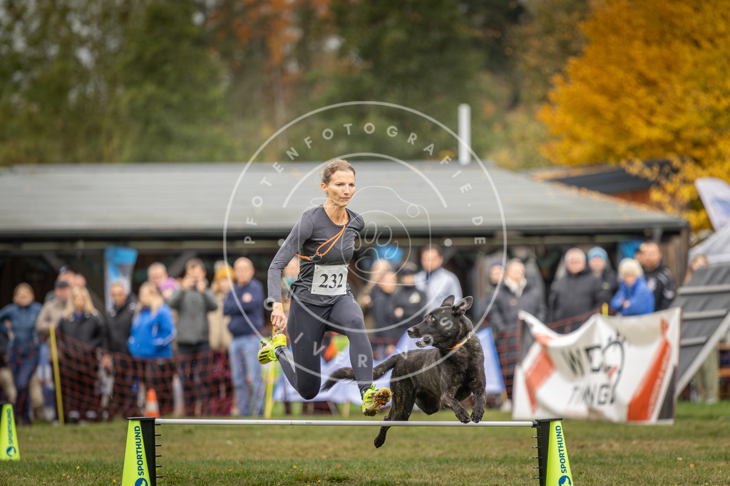 Pfotenfotografie_DV3A3363 | Hundefotografie, Tierfotograf, Pfotenfotografie, Fotoshooting Hund, Hunde Portrait, Hundesport, Hundeportraits, Heideshooting, Hunde, Sportfotograf, Hundefotograf, Turnierhundsport, THS,  - Realisiert mit Pictrs.com