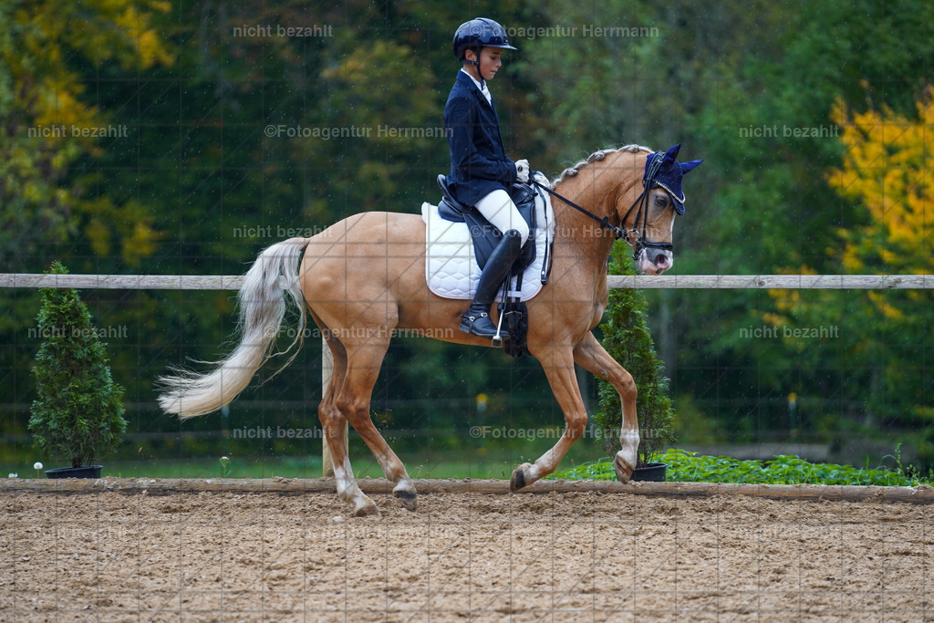 20221008-FAH02005 | Diessen am Ammersee, 2022, Dressur- und Springturnier, Reitsportbilder, Turnierfotografen Bayern, Pferdefotografen, Fotoagentur Herrmann, Turnierbilder