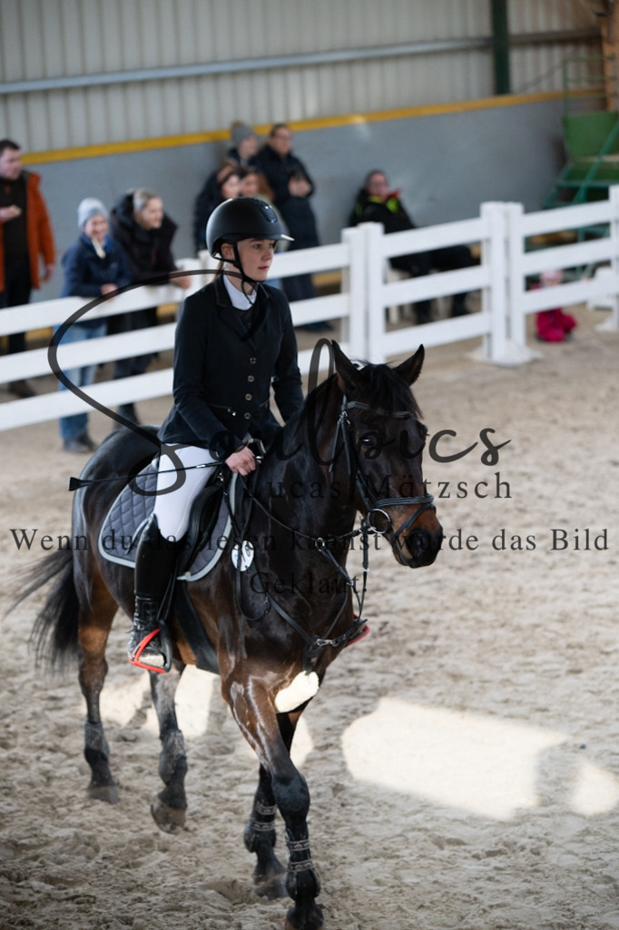 A7V02009 | Pferdefotograf