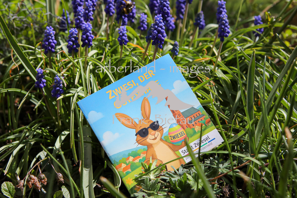 OE7A5316 | das neue kleine Osterbuch der Stadt Zwiesel