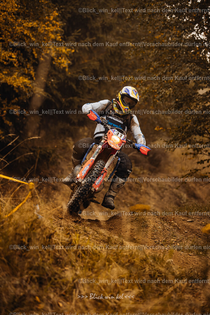 E68A3762 | blick_win_kel