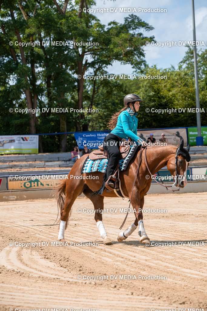 ZS3_9742 | dv-media-shop - Realisiert mit Pictrs.com