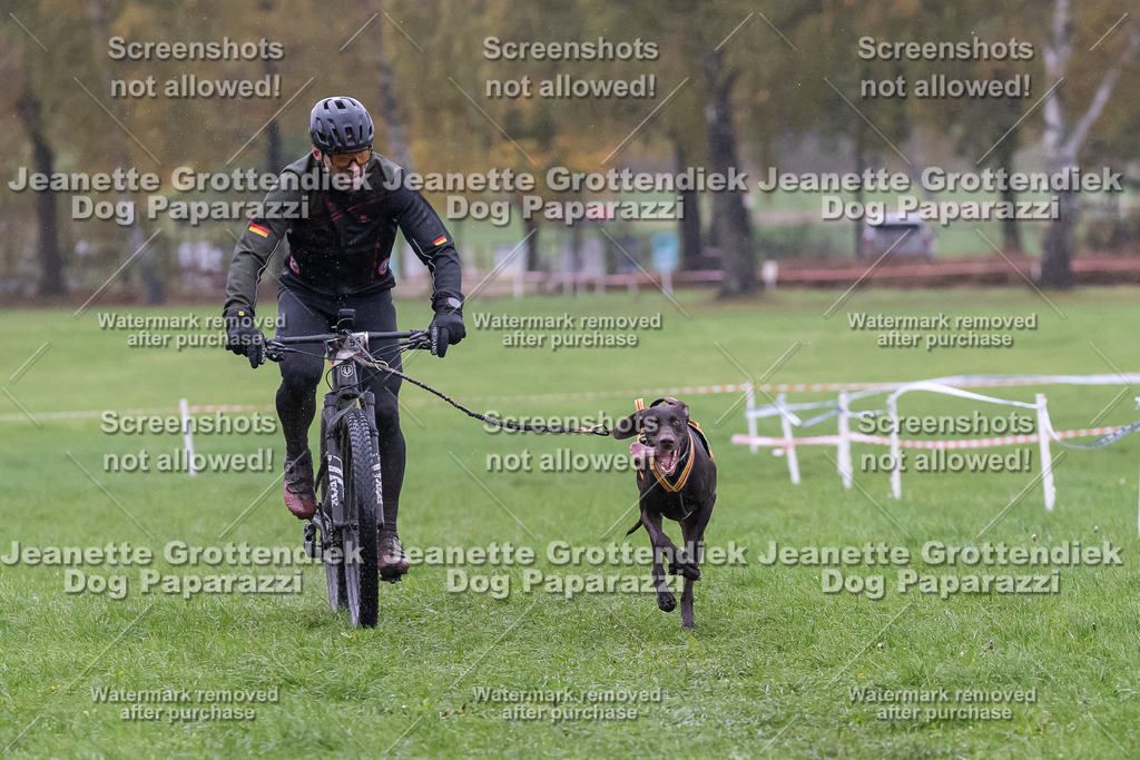 Dog Paparazzi - SD CaniX Championship 2025-925 | Dog Paparazzi Jeanette Grottendiek Fotografie & Videografie - Realisiert mit Pictrs.com