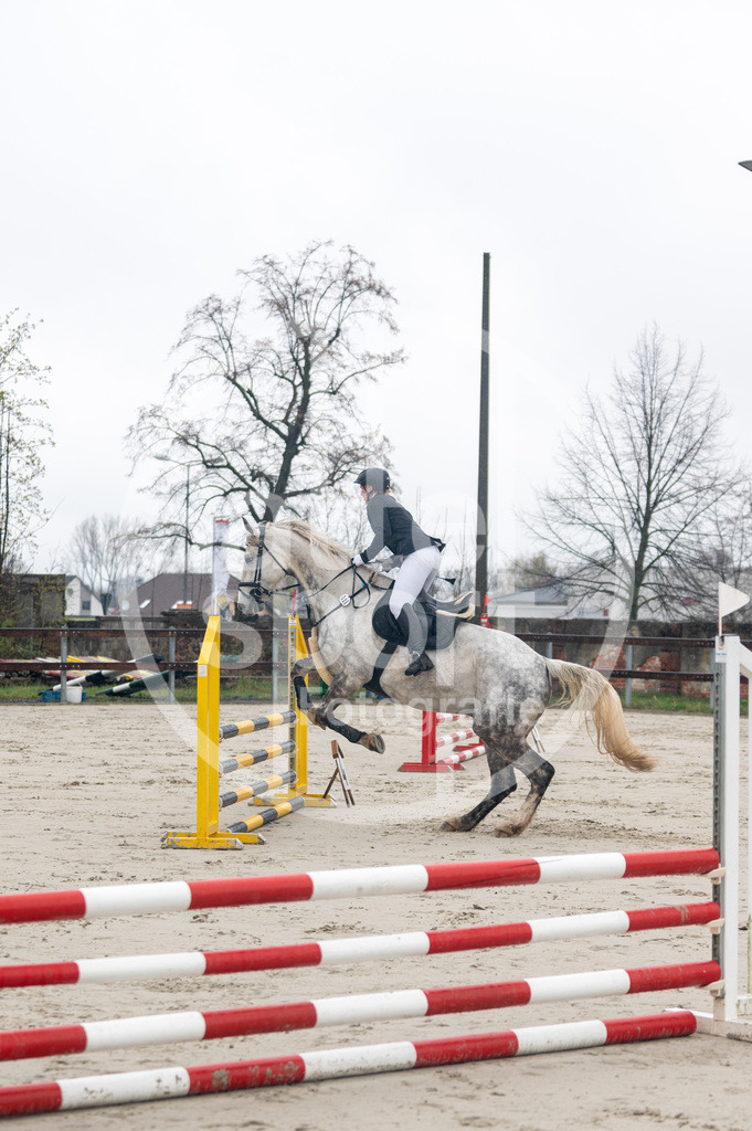 DSC_8333 | sattelsport - Realisiert mit Pictrs.com