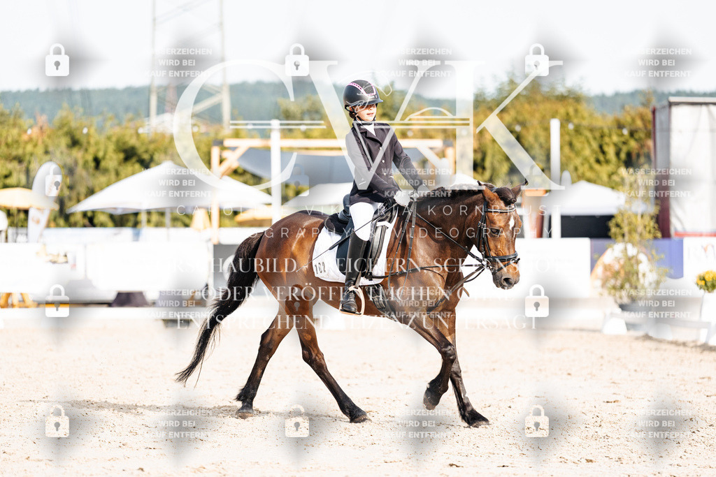 CK904811 | Turnierfotografie Pferdefotografie Trier Rheinland-Pfalz Pferdesport Reitsport Tierfotografie Sportfotografie Pferdevideo Pferdevideografie Equestrianvideography equestrianphotography  - Realisiert mit Pictrs.com