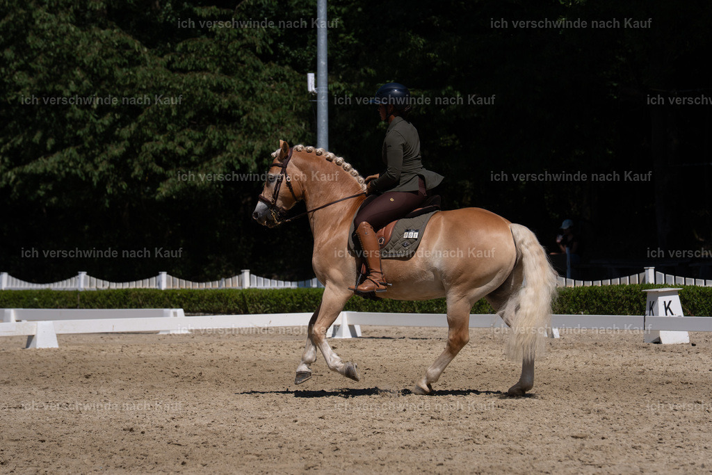 WS_DR_1_sinafilmart_IN03477 | working equitationturnier fotograf videograf stoibphotography marixx film working equitation deutschland reitsport turnierfotografie eventfotografie equestrian events