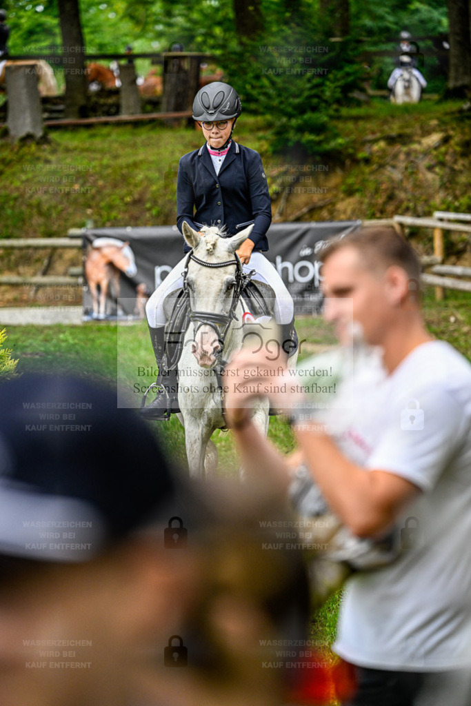 Bissendorfer Reitertage | Entdecke hochwertige Reitturnierfotos von Foto Oger. Professionell, emotional und authentisch – jetzt Lieblingsmomente im Shop bestellen. - Realisiert mit Pictrs.com