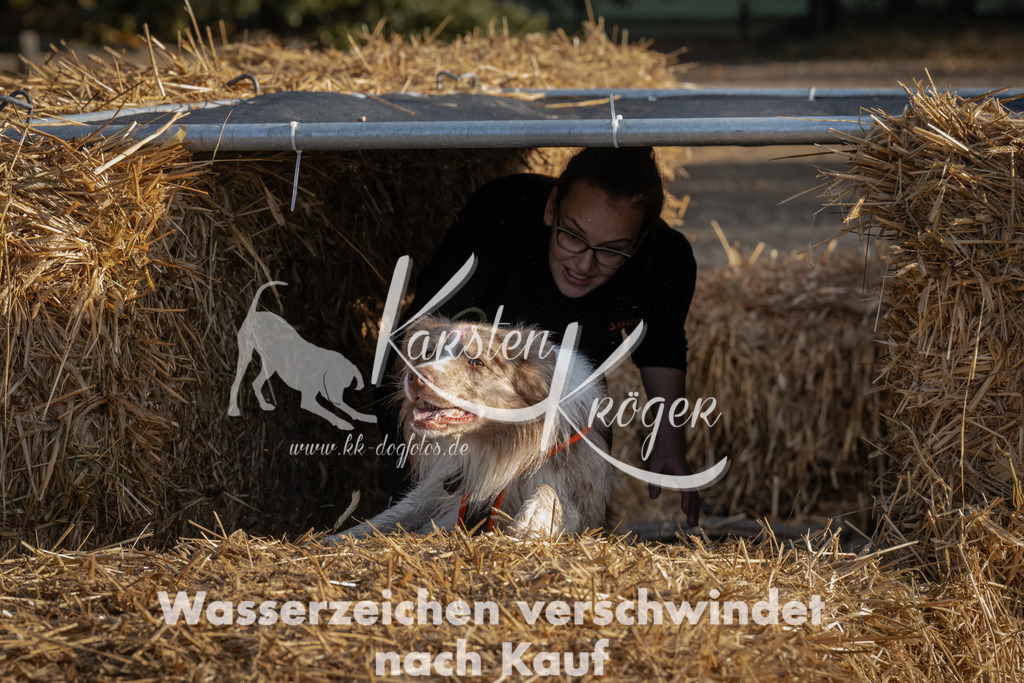 0948_ZZ94903 | kk-dogfotos