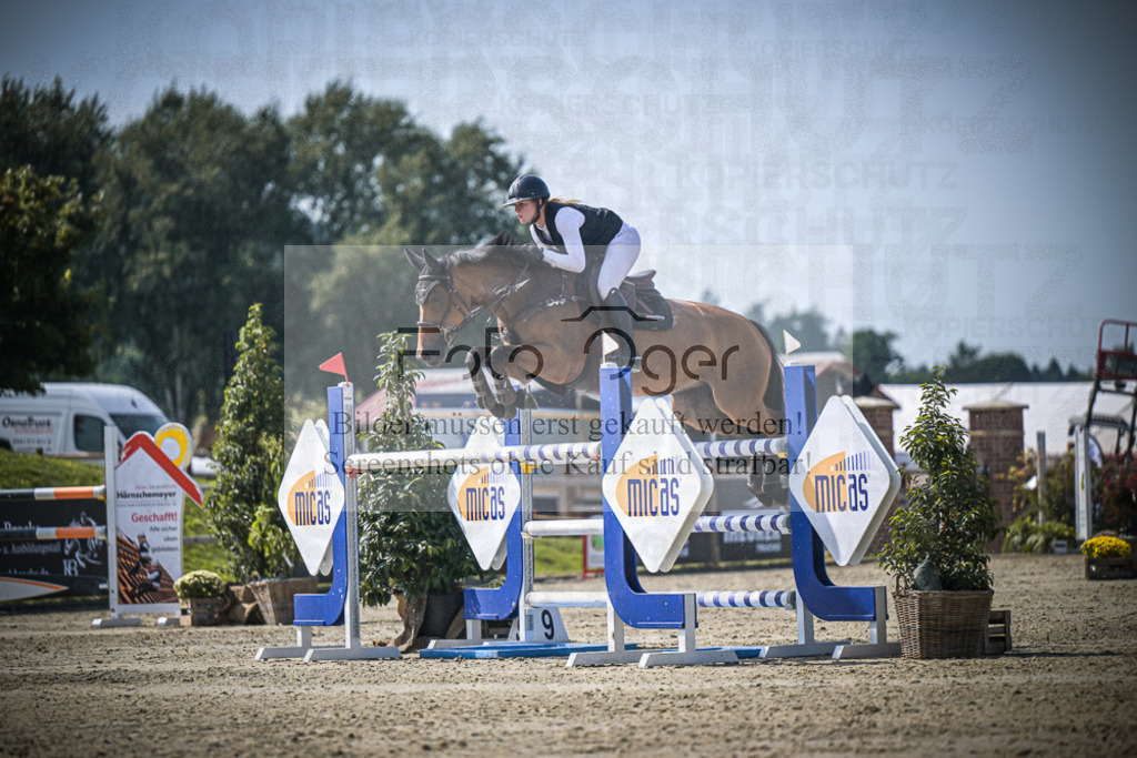 DOS_4007 | Entdecke hochwertige Reitturnierfotos von Foto Oger. Professionell, emotional und authentisch – jetzt Lieblingsmomente im Shop bestellen.Deutschlandweite Turnierfotografie. - Realisiert mit Pictrs.com