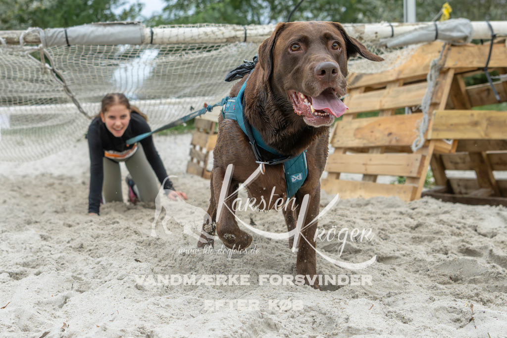 1102_ZZ95300 | kk-dogfotos