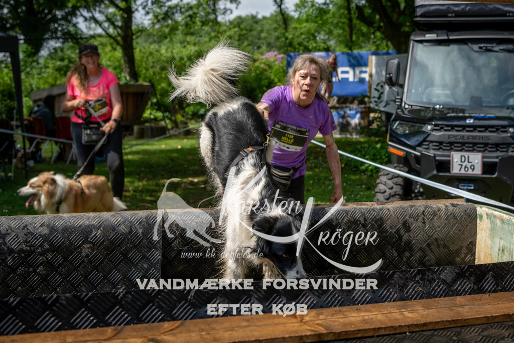 1101_ZZ92402 | kk-dogfotos