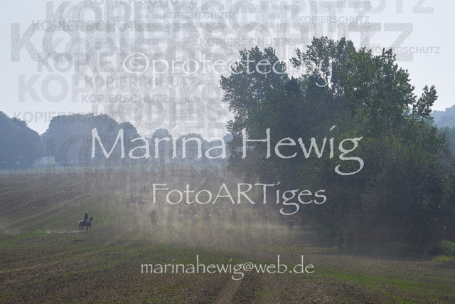 09-23 Jagd Perdöl_MCH0303_Marina Hewig | Fotografie, FotoArt, PferdesportArt, Pferdesportfotografie, Landschaftsfotografie, Reisefotografie, Reise, Pferde - Realisiert mit Pictrs.com
