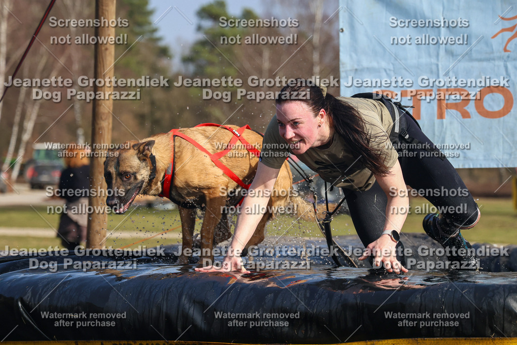 Dog Paparazzi - Strongdog North Mrz26-2686 | Dog Paparazzi Jeanette Grottendiek Fotografie & Videografie - Realisiert mit Pictrs.com