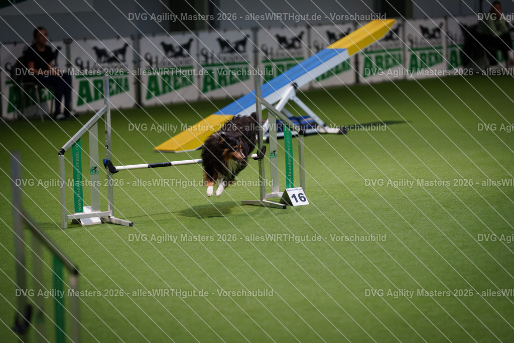 allesWIRTHgut_Tierfotografie-DVG_Agility_Masters_2026-16_56-7R504705 | Professionelle Tierfotografie in Mönchengladbach von Daniel Wirth (allesWIRTHgut). Liebevolle & natürliche Bilder von Hunden & Katzen für unvergessliche Erinnerungen.
