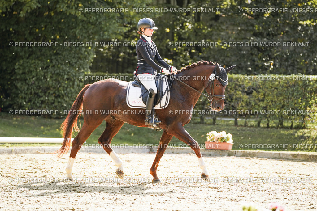 DSC08215 | Pferdegrafie